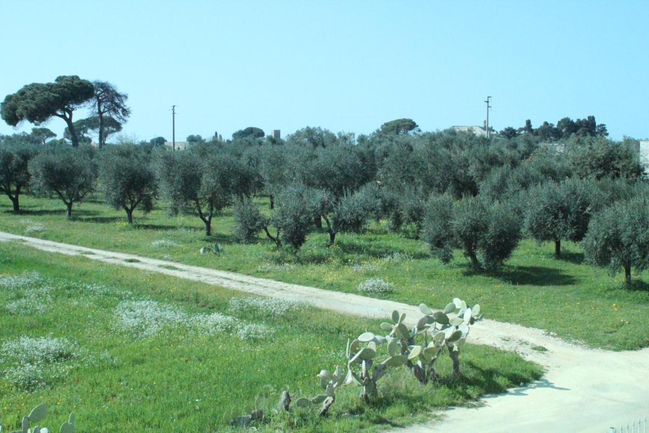Piccolo Ulivo B&B Salento Vernole Exterior foto