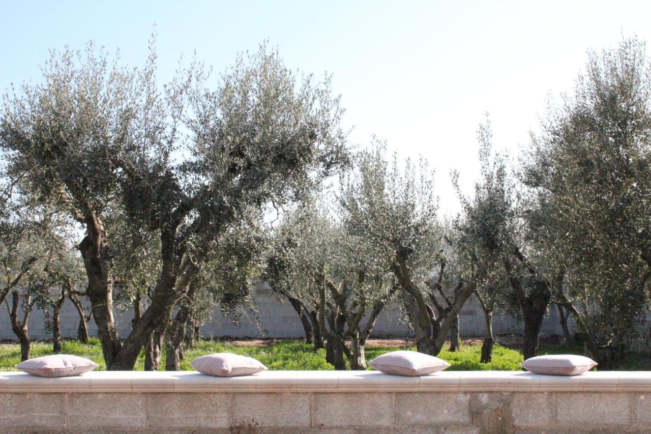 Piccolo Ulivo B&B Salento Vernole Exterior foto